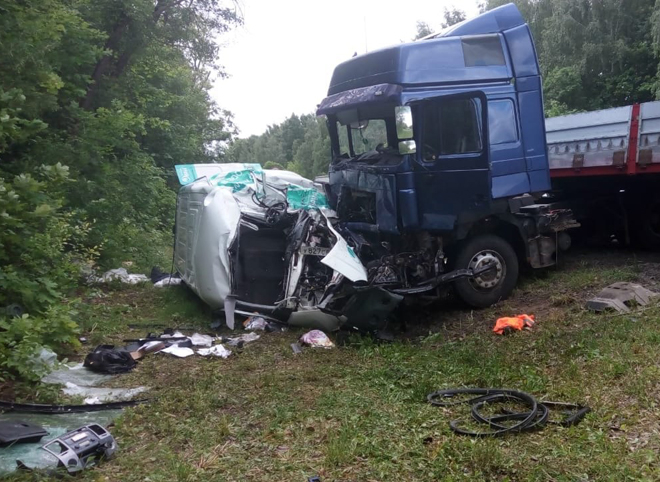 В Михайловском районе столкнулись грузовик Man и Газель - один из водителей погиб