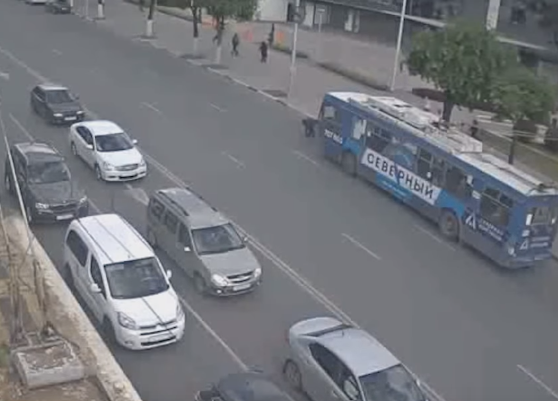 Видео. В центре Рязани троллейбус сбил пешехода