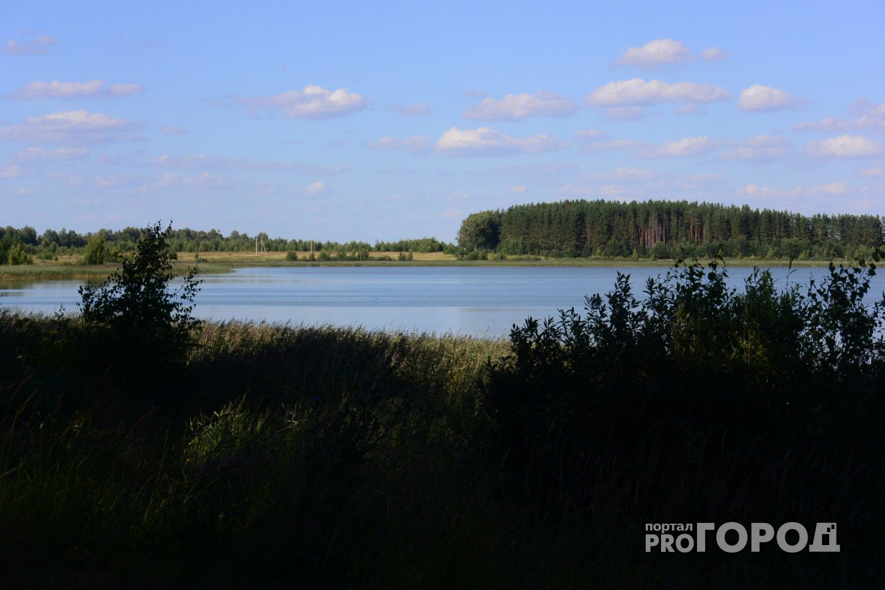 В Рязанской области утонул мужчина
