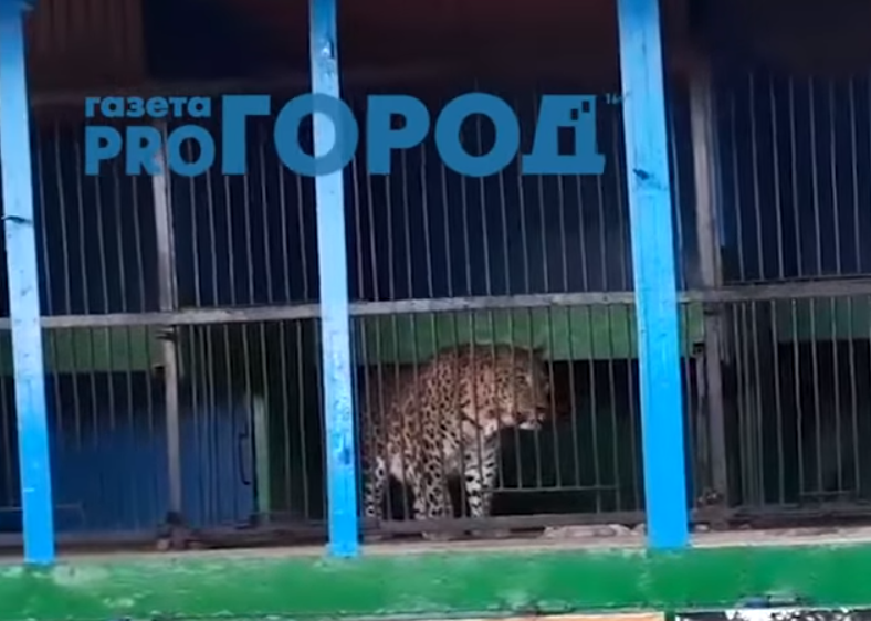 Владельца зоопарка "Ноев ковчег" оштрафовали на 3000 рублей, и отпустили с миром