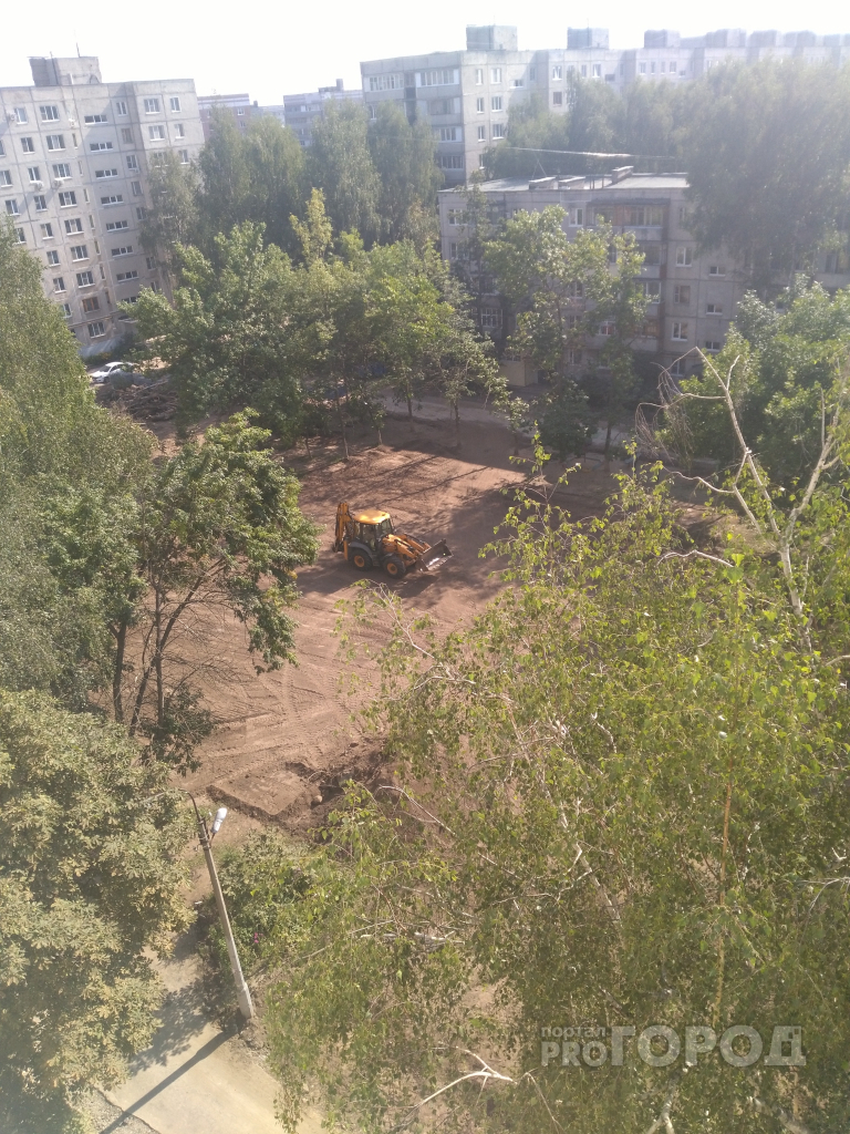 Жители Канищева жалуются на вырубку деревьев