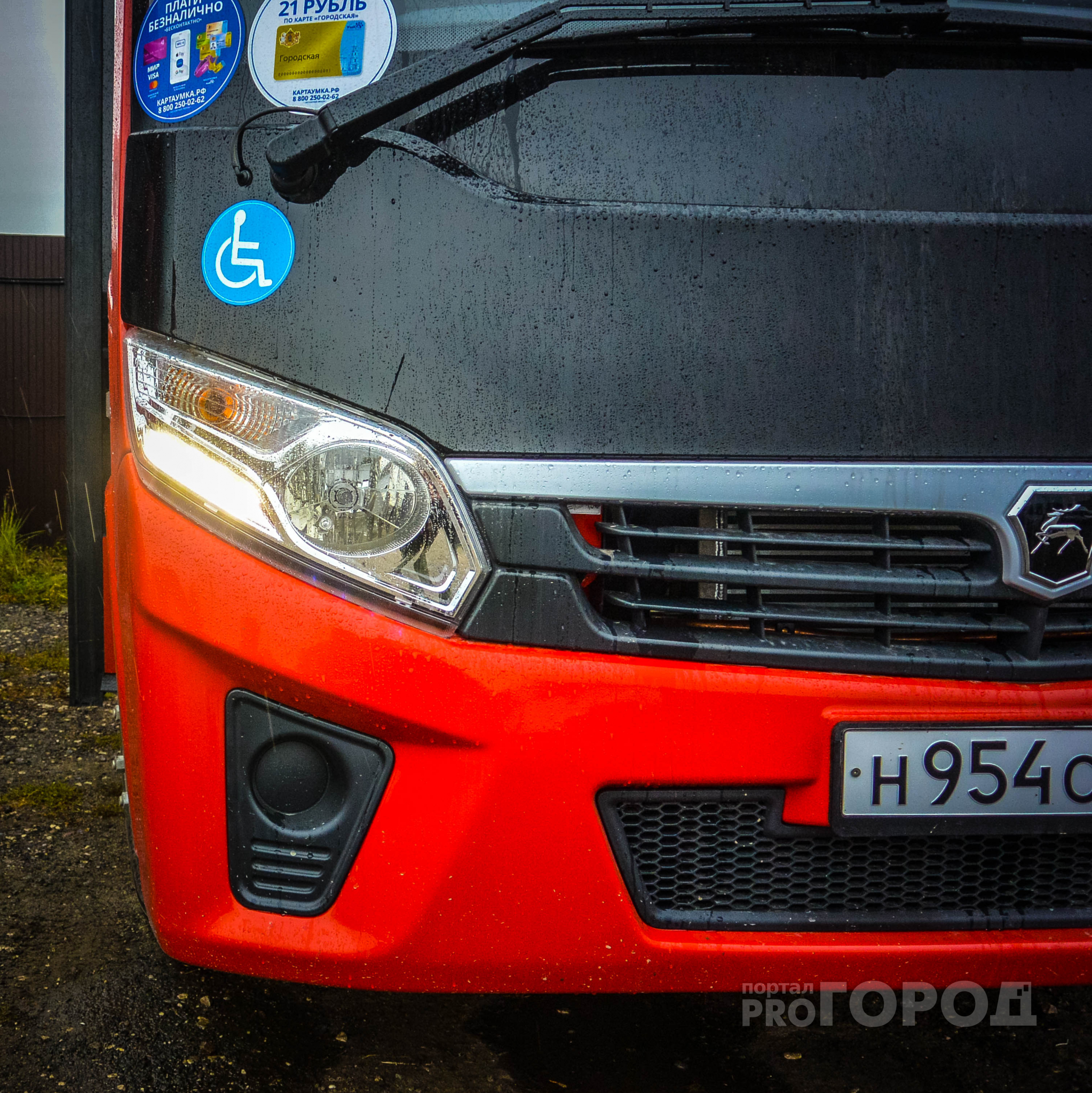 Красные автобусы: оказывается транспорт в Рязани может быть комфортным и прибыльным