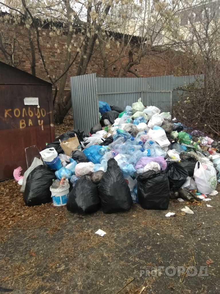 Народный контроль: почему на Кольцова два месяца не вывозили мусор?
