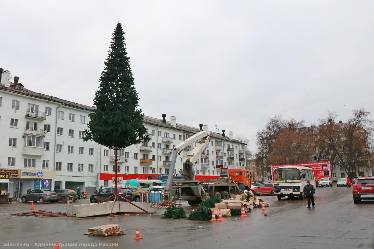 На улицах Рязани установят 31 новогоднюю ель