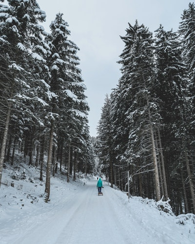О погоде в Рязани - синоптики прогнозируют в выходные снег и слабый мороз