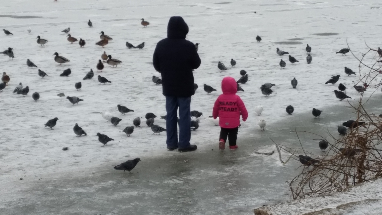 На тонком льду: очевидцы заметили  детей играющих на середине озера