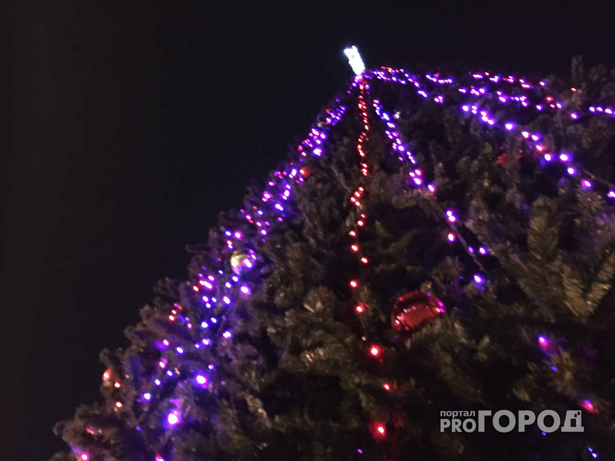 Рязанская полиция рассказала о "комендантском часе" и употреблении алкоголя в новогоднюю ночь