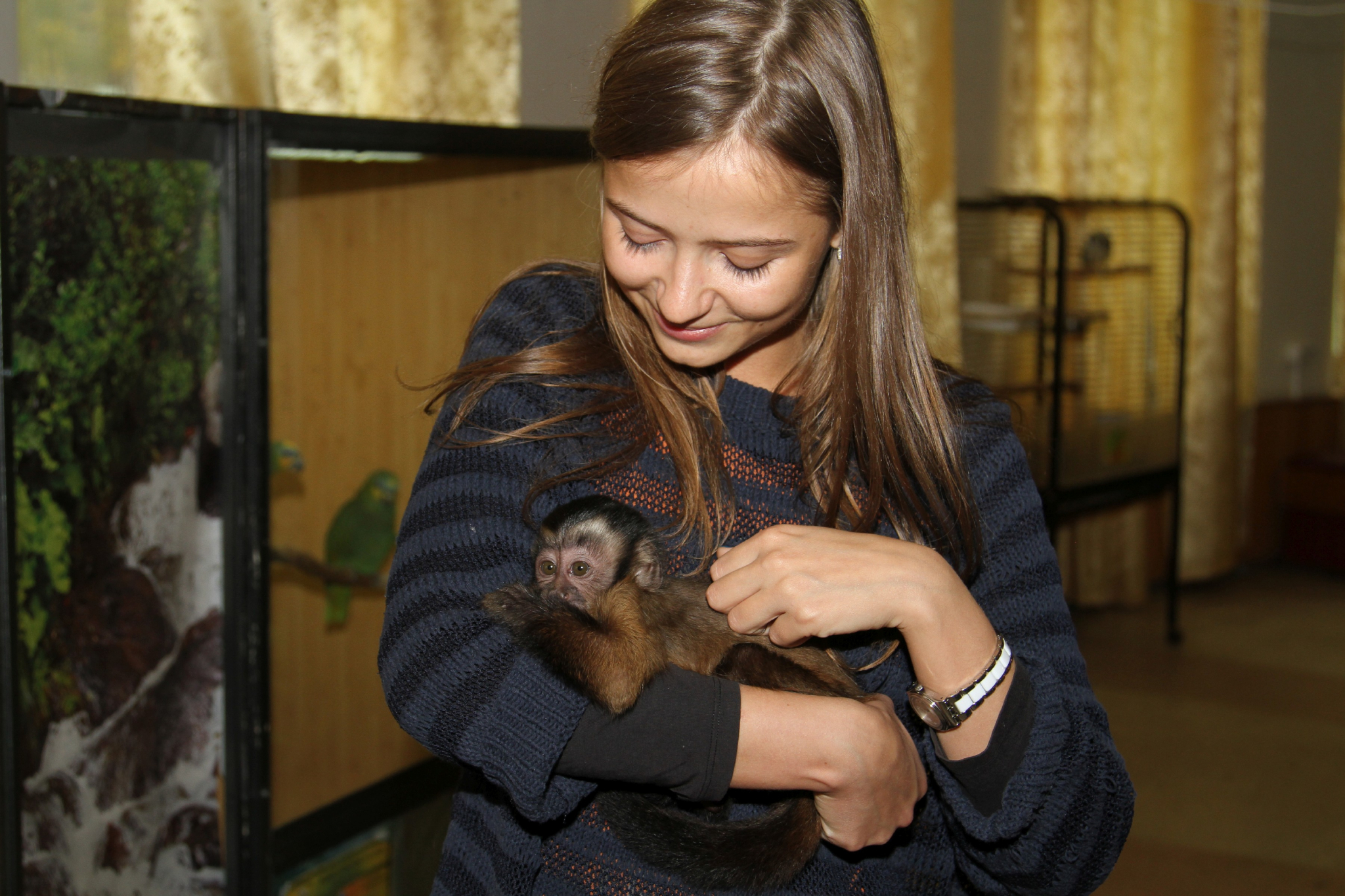 Что ждет контактные зоопарки в Рязани после принятия закона о защите животных