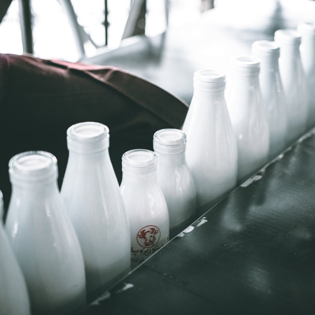 В России продукция с растительными жирами перестала считаться молочной