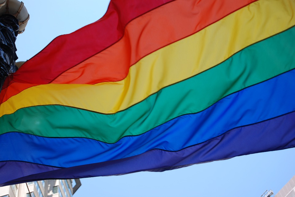 Продолжение радужного скандала: на власти Скопина подали в суд из-за запрета гей-парада