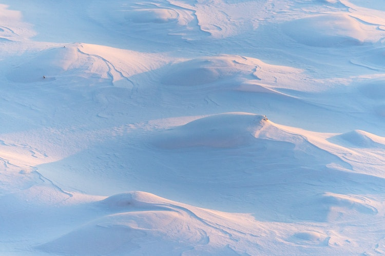 Толщина снежного покрова в Рязанской области больше нормы