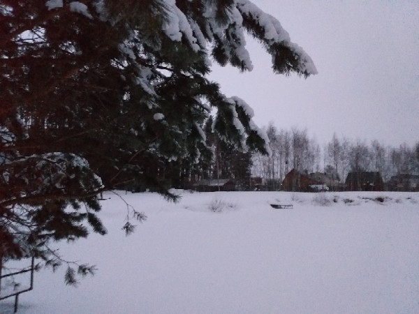 О погоде в Рязани - чем удивит последняя неделя февраля