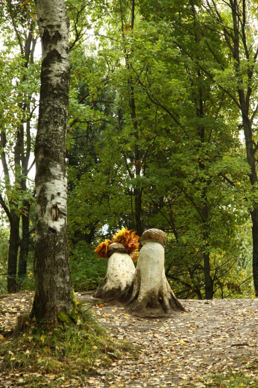 В Рязанской области оживут сказки Пушкина: в Октябрьском поселении сделают парк по мотивам сказок любимого писателя