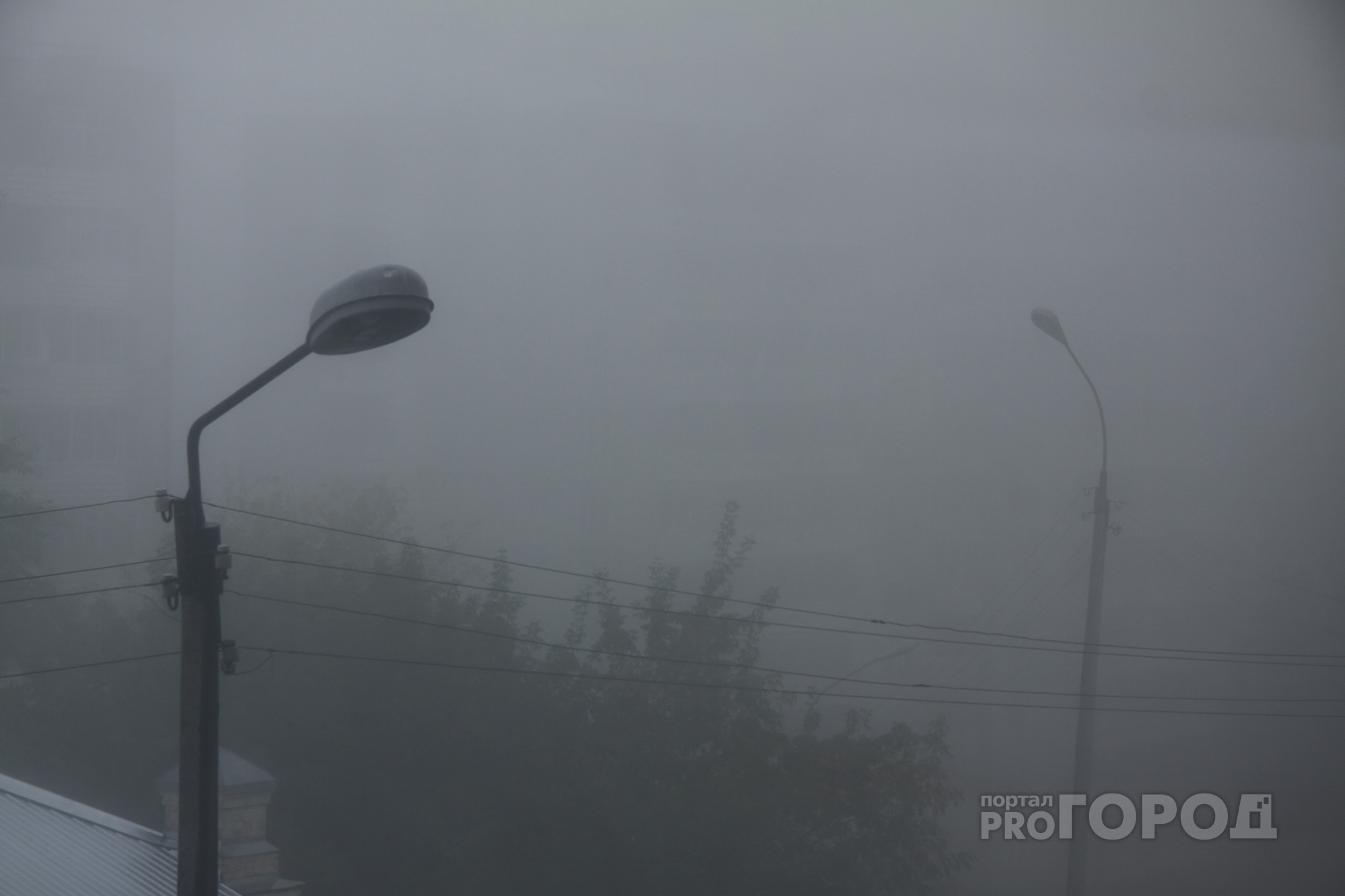 Рязанцев предупредили о сильном тумане и гололедице