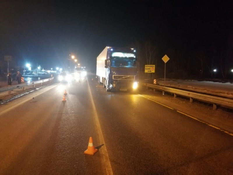 В Скопинском районе грузовик сбил мужчину. Пешеход скончался