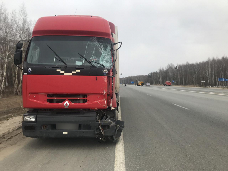 В Рязанской области водитель фуры врезался в школьный автобус