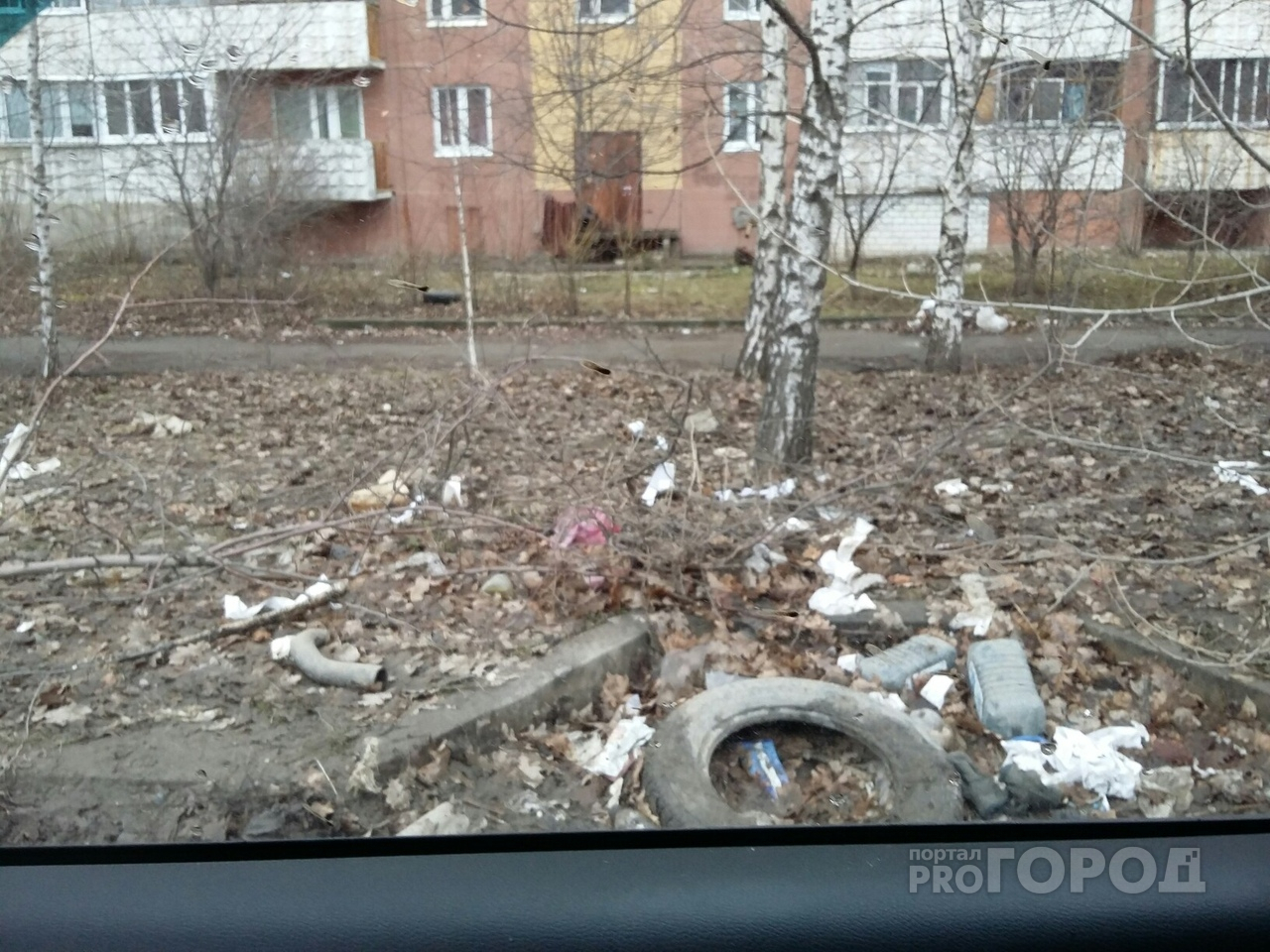 «В основном вся грязь от маршрутчиков»: рязанцы жалуются на мусор в Дубовой роще