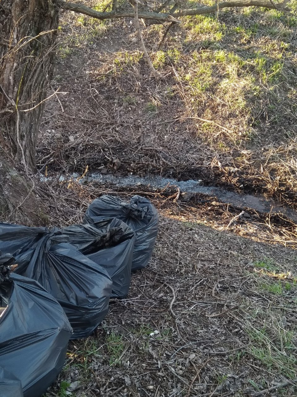 Рязанские активисты очистили от мусора пойму реки Трубеж