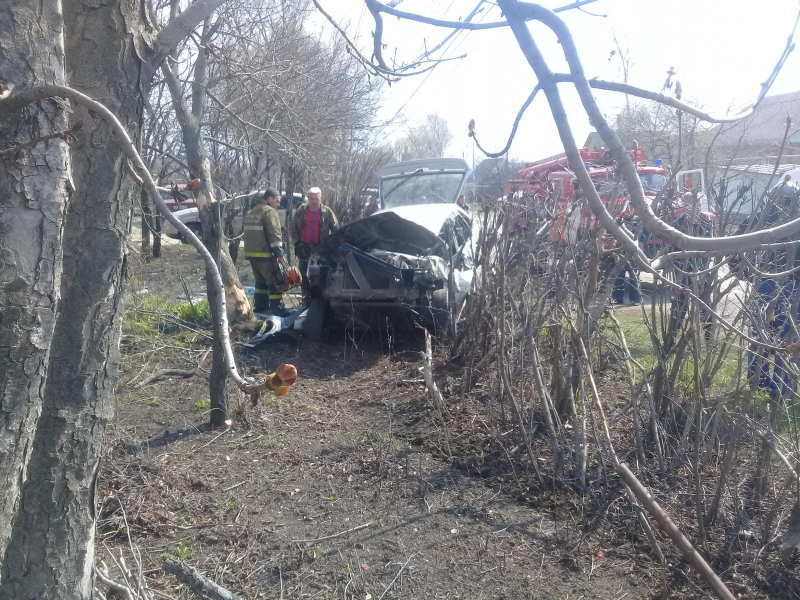 В Михайлове водитель «четырнадцатой» врезался в дерево