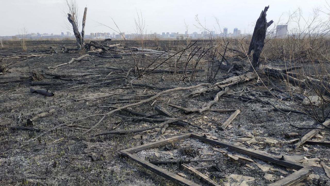 В Рязани за гипермаркетом Globus сгорели сухие поля