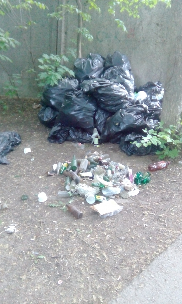 На улице Забайкальской спустя месяц после субботника, коммунальщики до сих пор не вывезли мусор