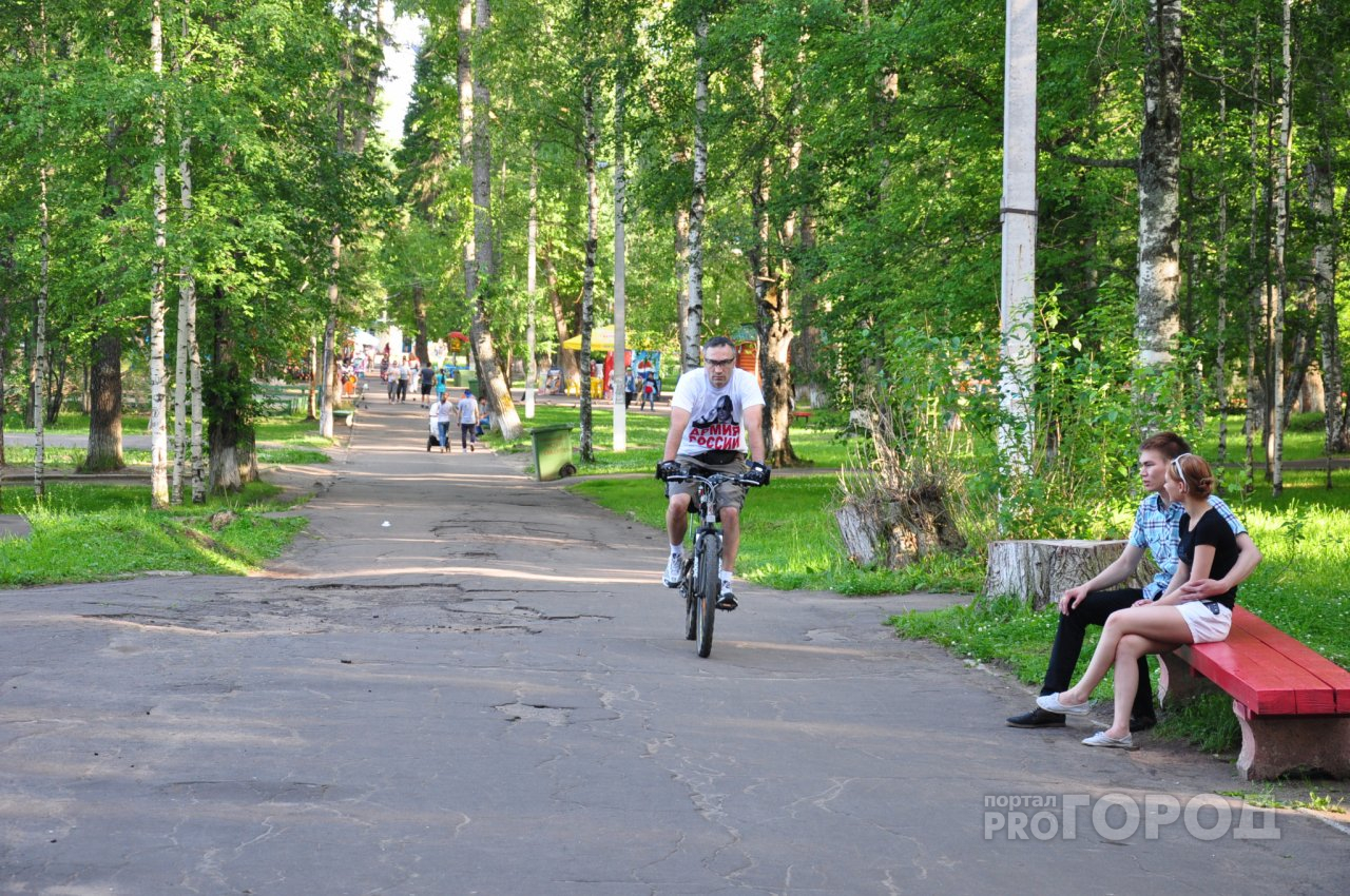В Рязани обустроят 54 велодорожки