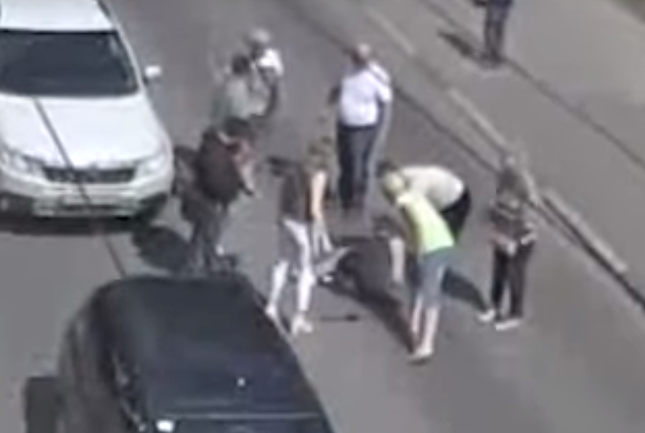 Пешеход vs автомобиль: в центре Рязани женщина решила перебежать дорогу. Видео