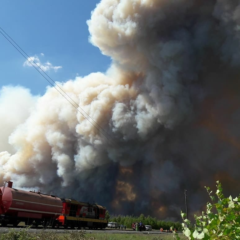 Смог от лесных пожаров в области добрался до Рязани