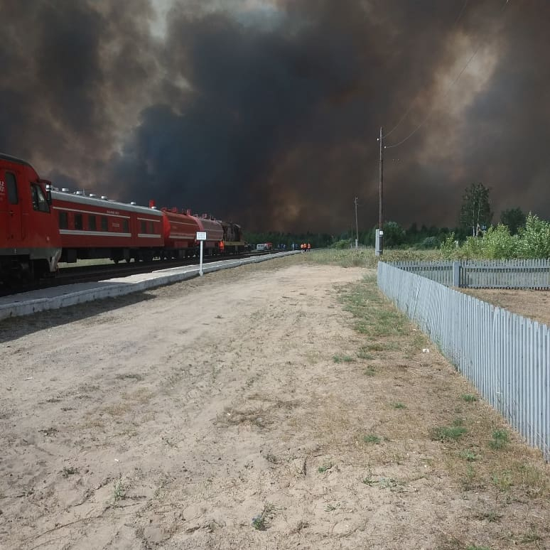 Лесной пожар под Рязанью охватил почти 1700 гектаров
