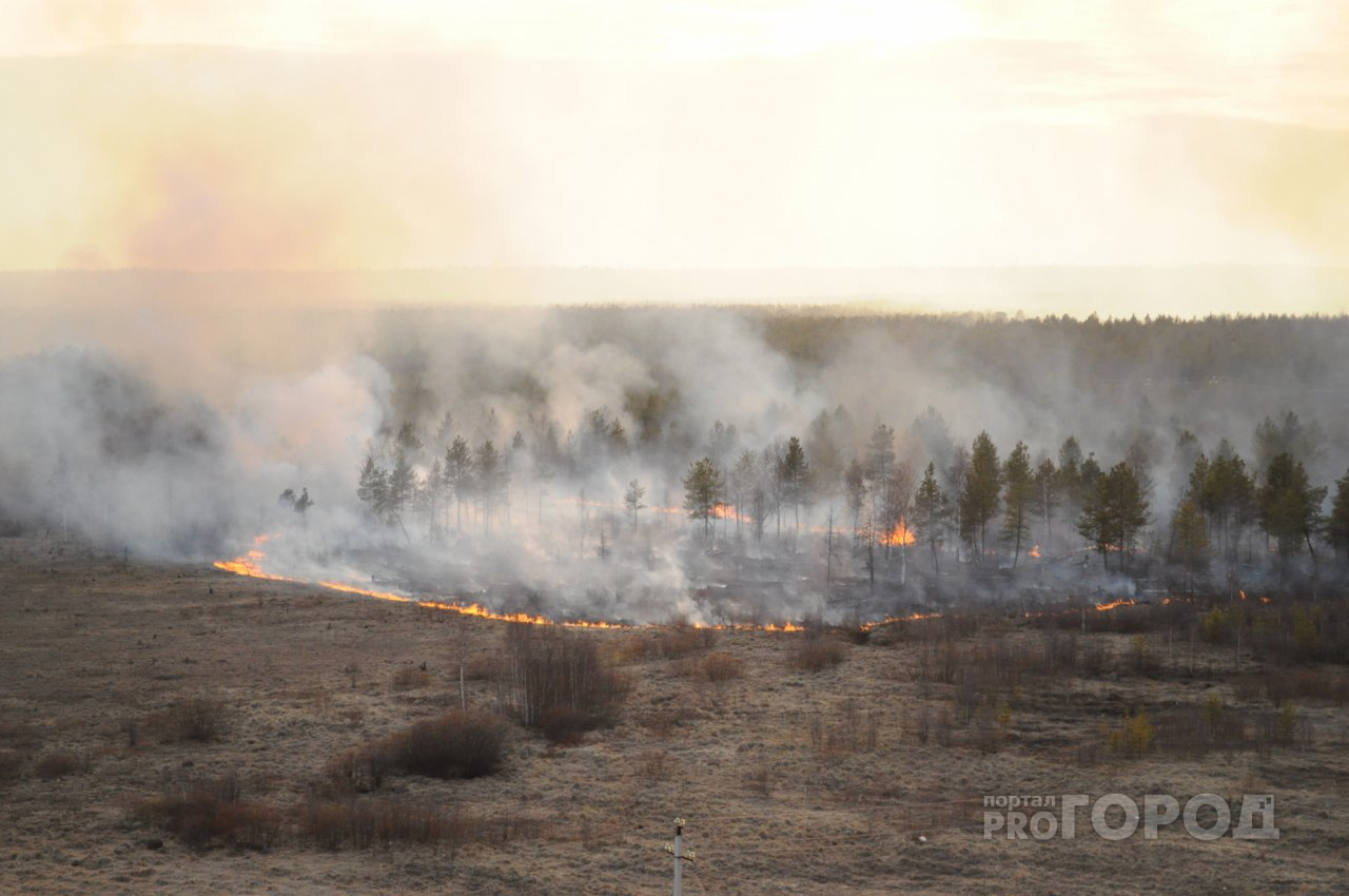 Лесной пожар на границе с Московской областью планируют локализовать к вечеру