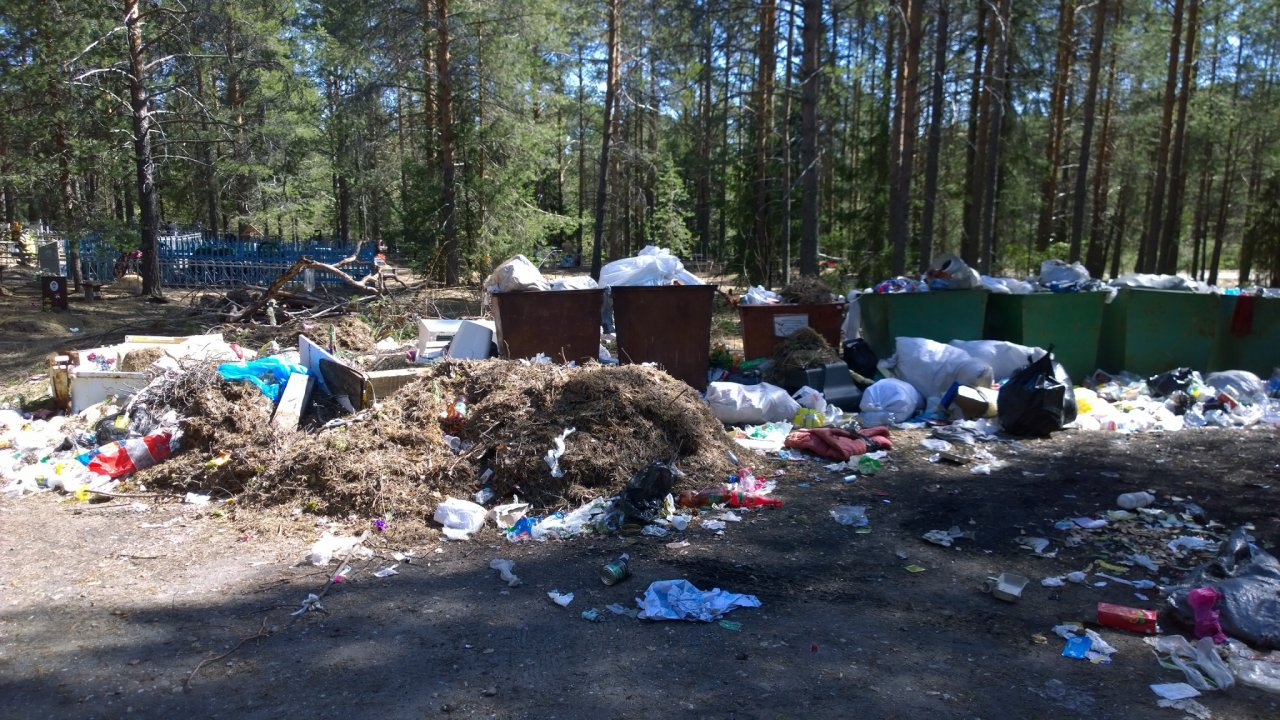 Рязанская область находится в числе регионов-аутсайдеров по мусорной реформе