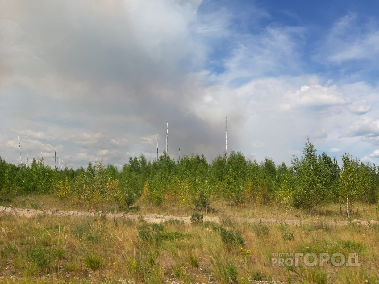 Лесной пожар в Рыбновском районе снова локализован