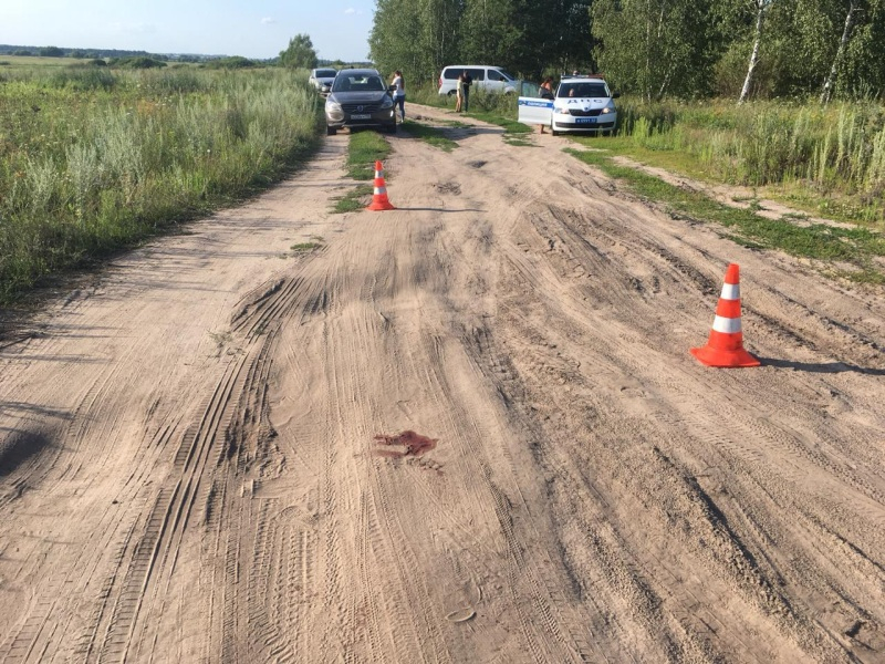 В Рязанской области водитель Volvo задавил четырехлетнего ребенка