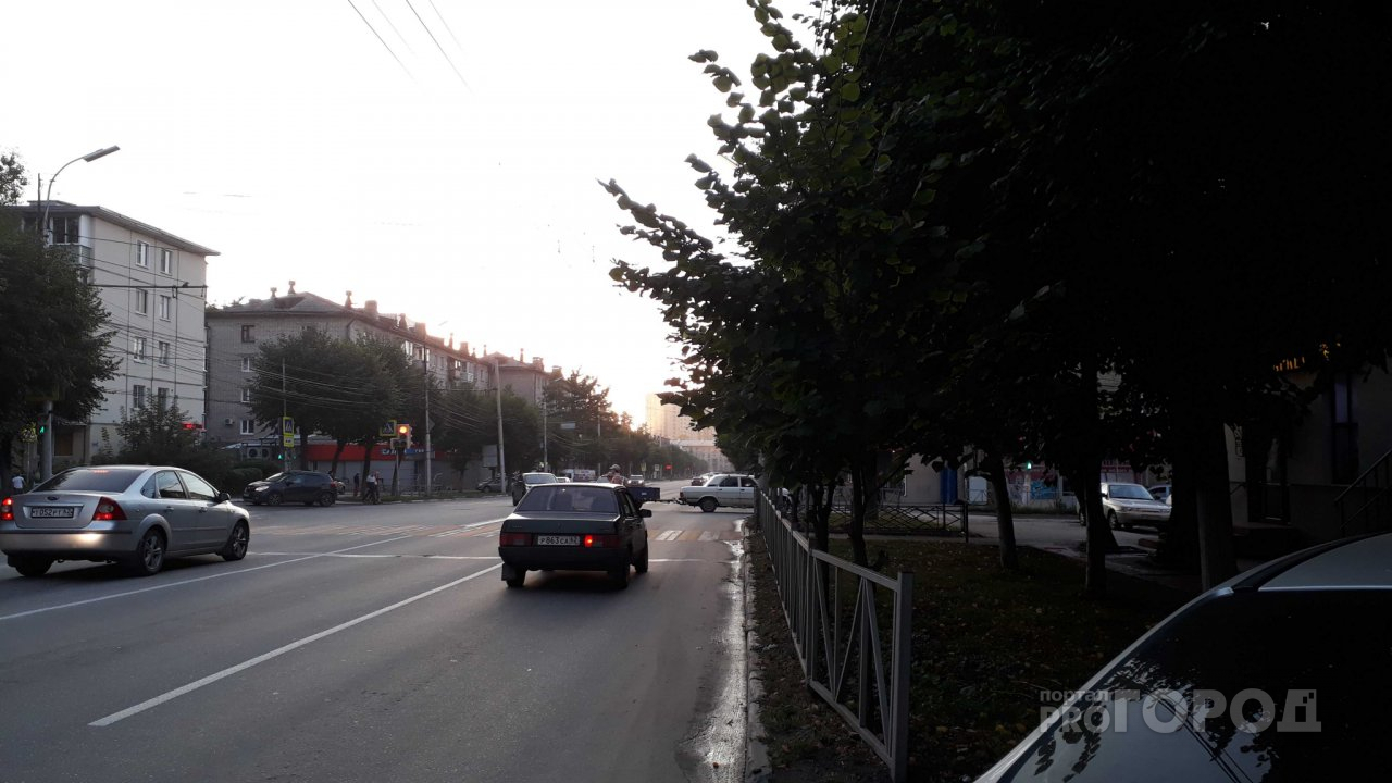 Безопасность под вопросом: на улице Дзержинского светофор не видно из-за дерева