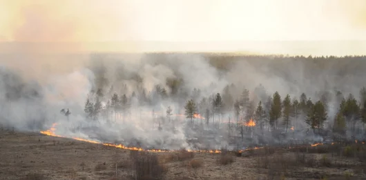 Рязанцы отправились в Красноярский край, чтобы бороться с пожарами