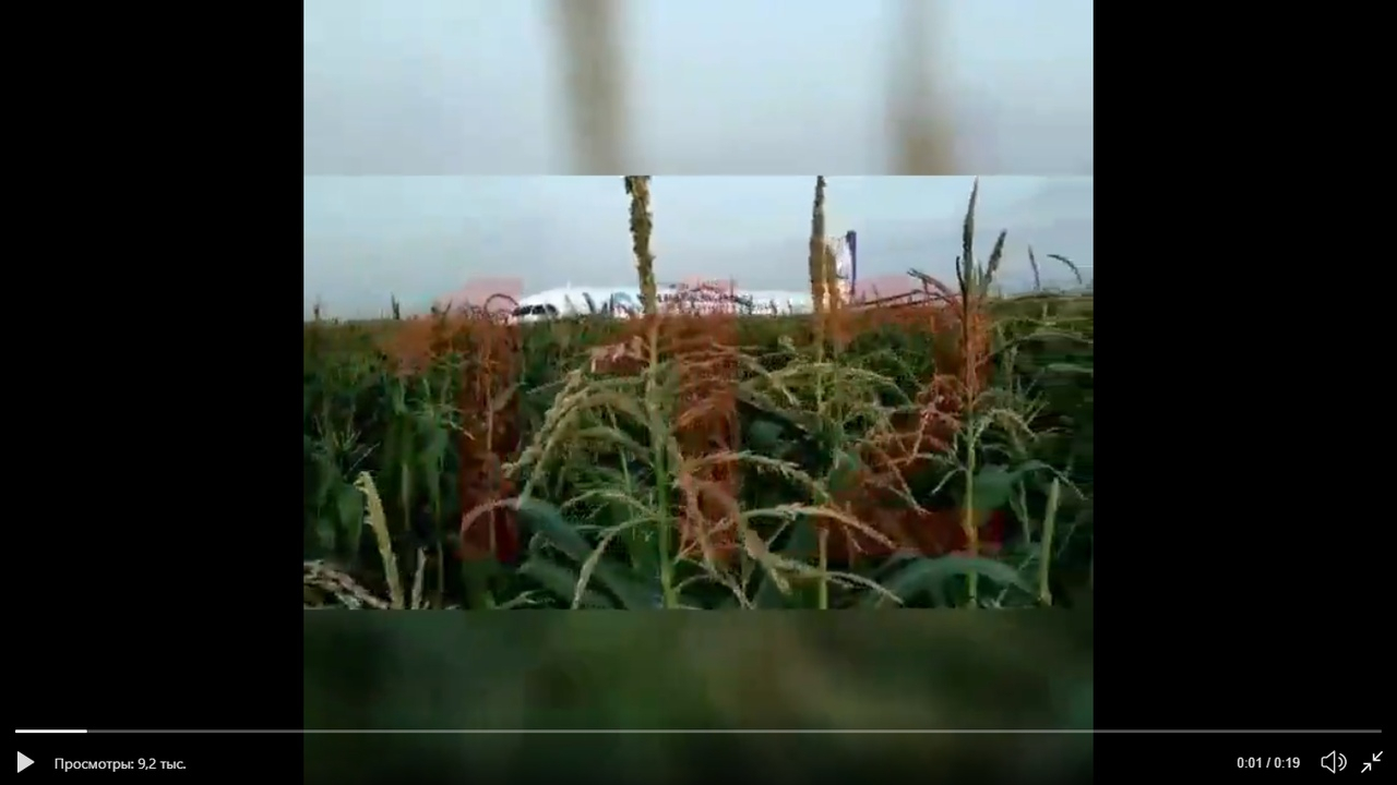 Под Жуковском пассажирский самолёт совершил аварийную посадку в поле. Видео с места событий