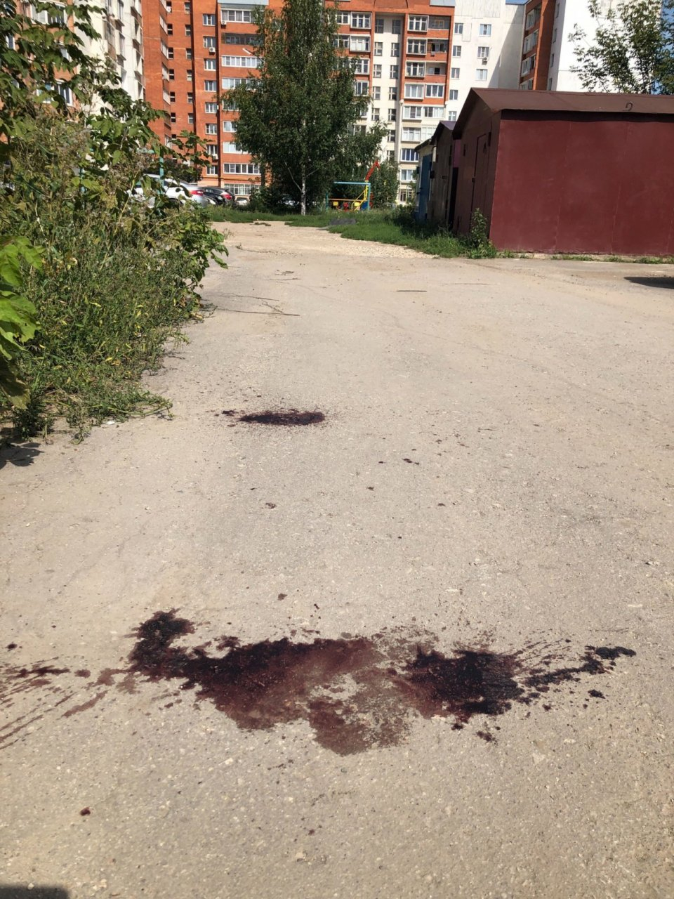 Очевидцы: ночью на улице Крупской произошла драка