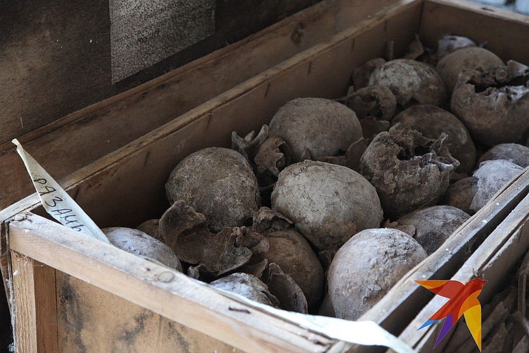 В рязанском гараже нашли 85 мужских черепов. Останкам - более 38 лет