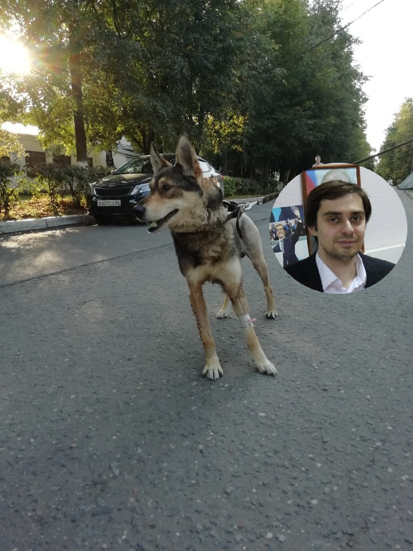 "Действовал сотрудник полиции некомпетентно" - рязанский активист о нашумевшей истории с псом Мухтаром