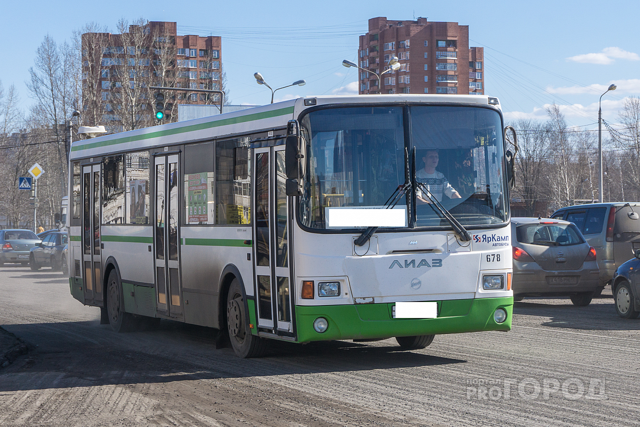 Администрация Рязани планирует пустить экспресс-автобус до Солотчи