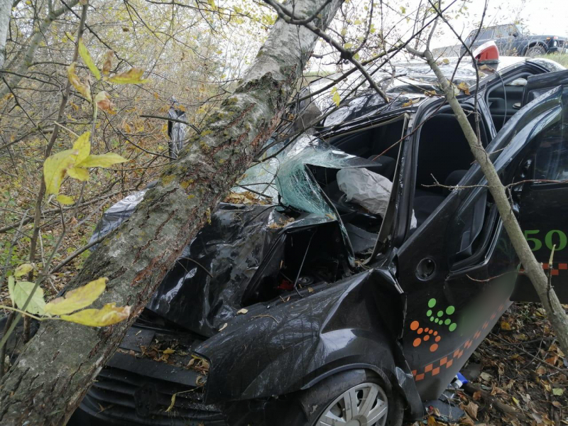 Смертельное ДТП  под Рязанью: водитель такси улетел в кювет и врезался в дерево