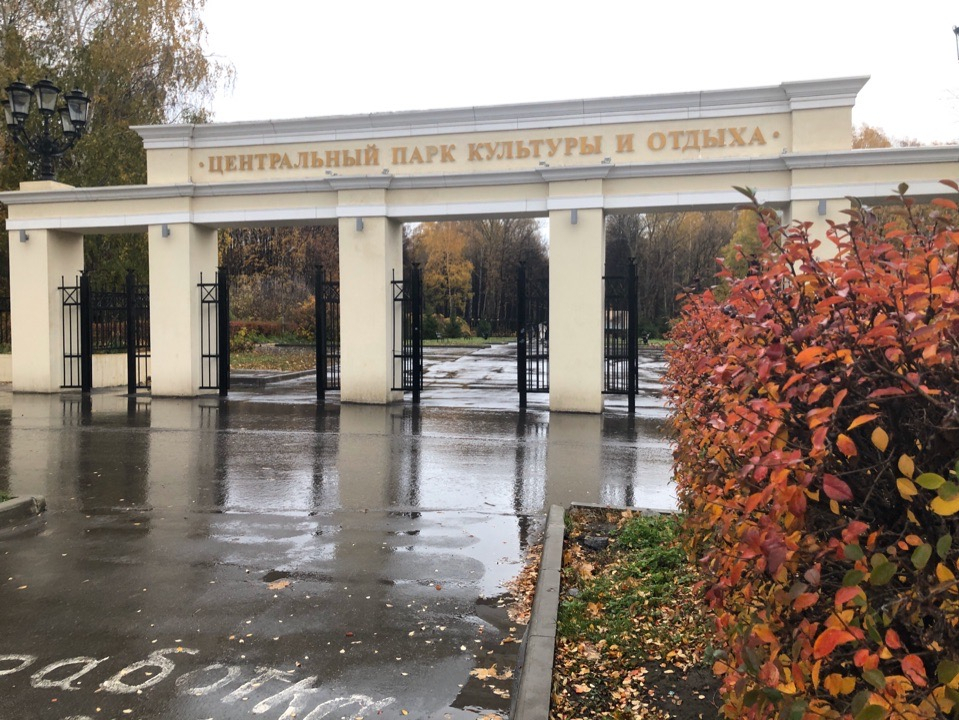"От улицы Гагарина к парку нет тротуаров": рязанка пожаловалась на состояние ЦПКиО