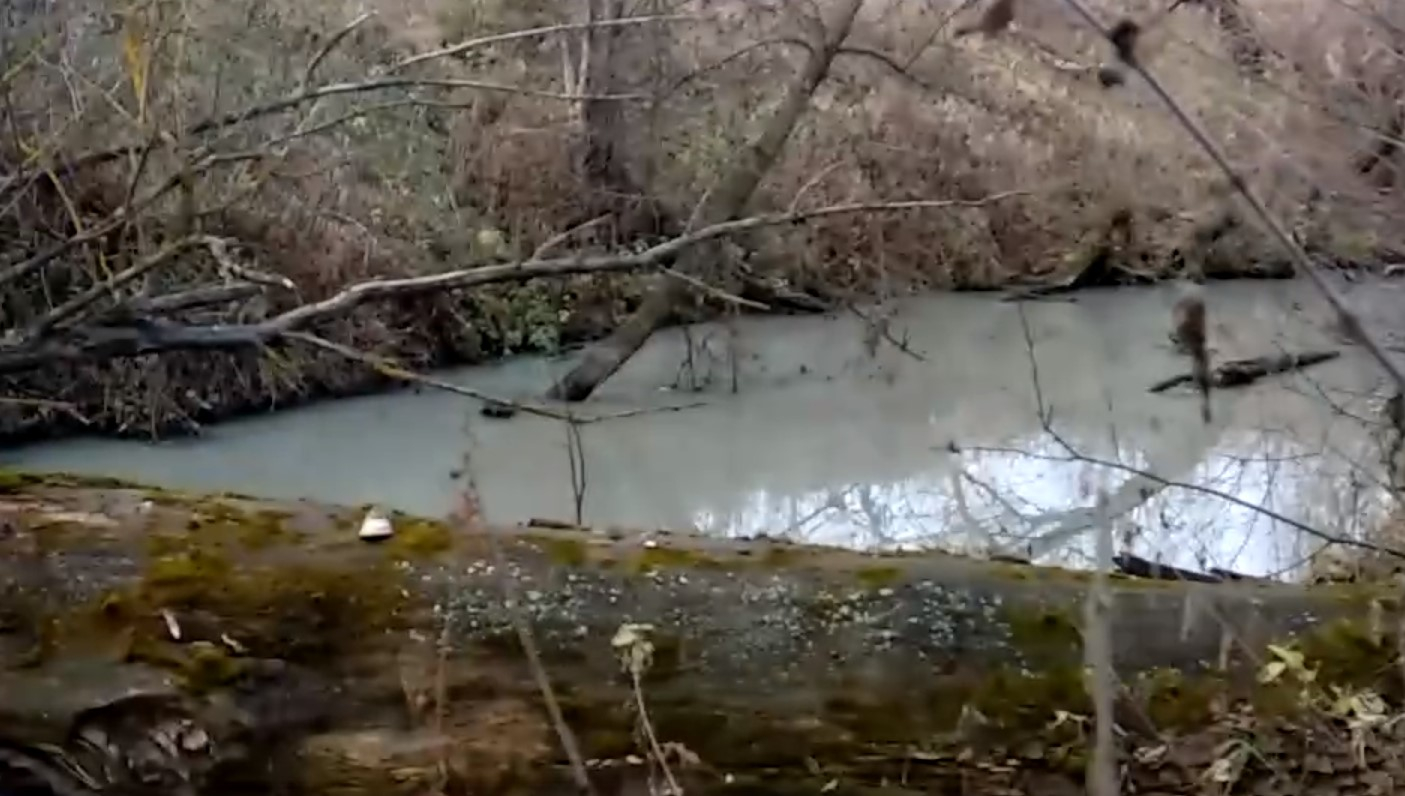 Минприроды проведет анализ воды в реке Рака