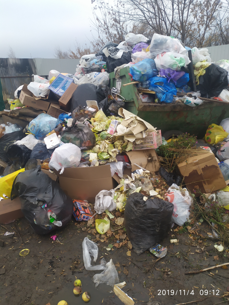 "Рядом с мусоркой бегают крысы": рязанец пожаловался на грязь в посёлке Мирный