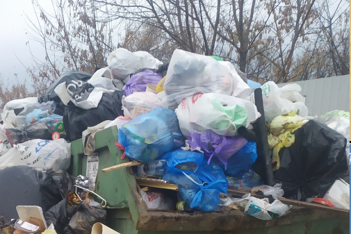 Рязань завалена мусором: "Эко-Пронск" ответил на жалобы жителей