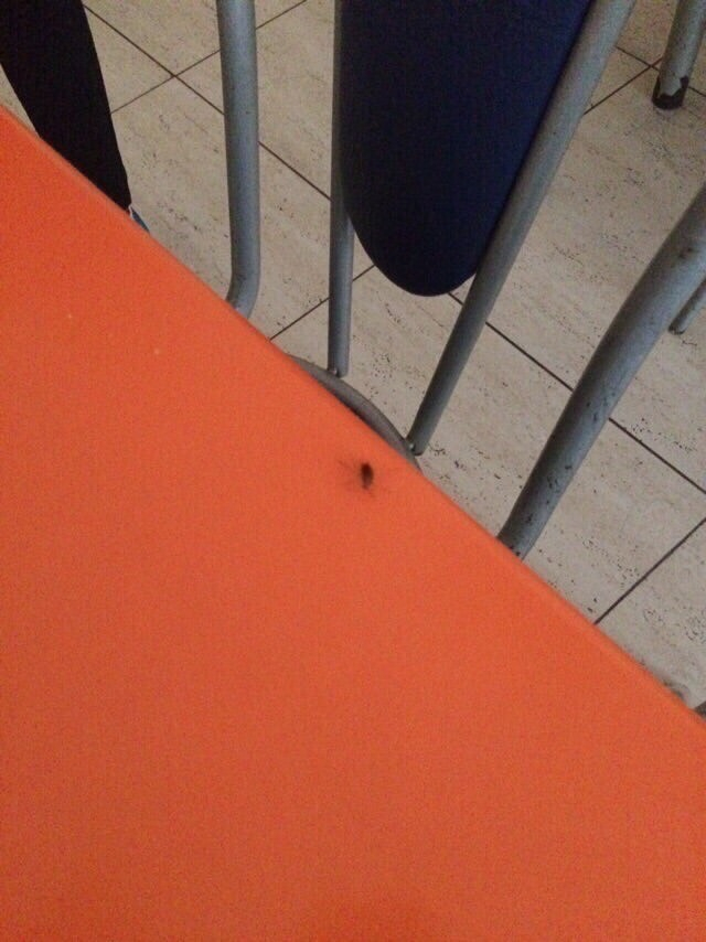 Поступила жалоба на тараканов, которыми кишит столовая  школы №60