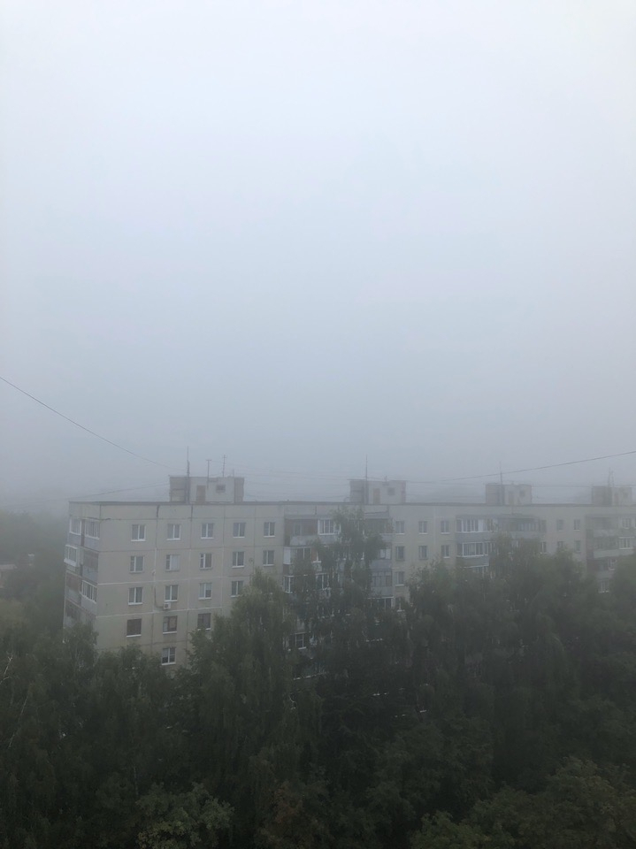 Метеопредупреждение: в Рязанской области ожидается усиление ветра