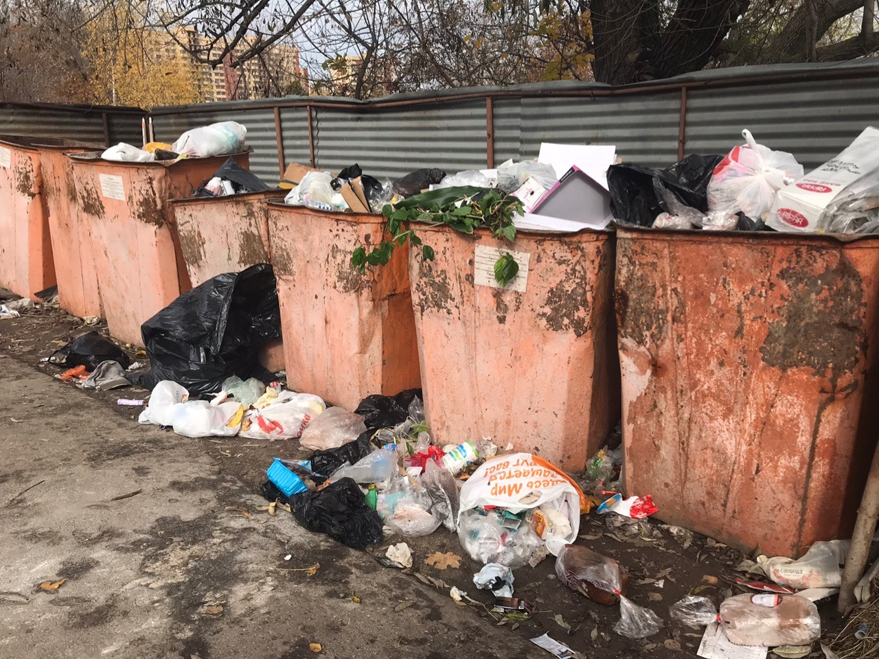 Любимов: регоператор исправит недостатки по вывозу мусора