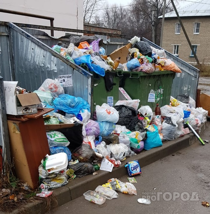 Рязанский ОНФ ищет контролеров "мусорной реформы"