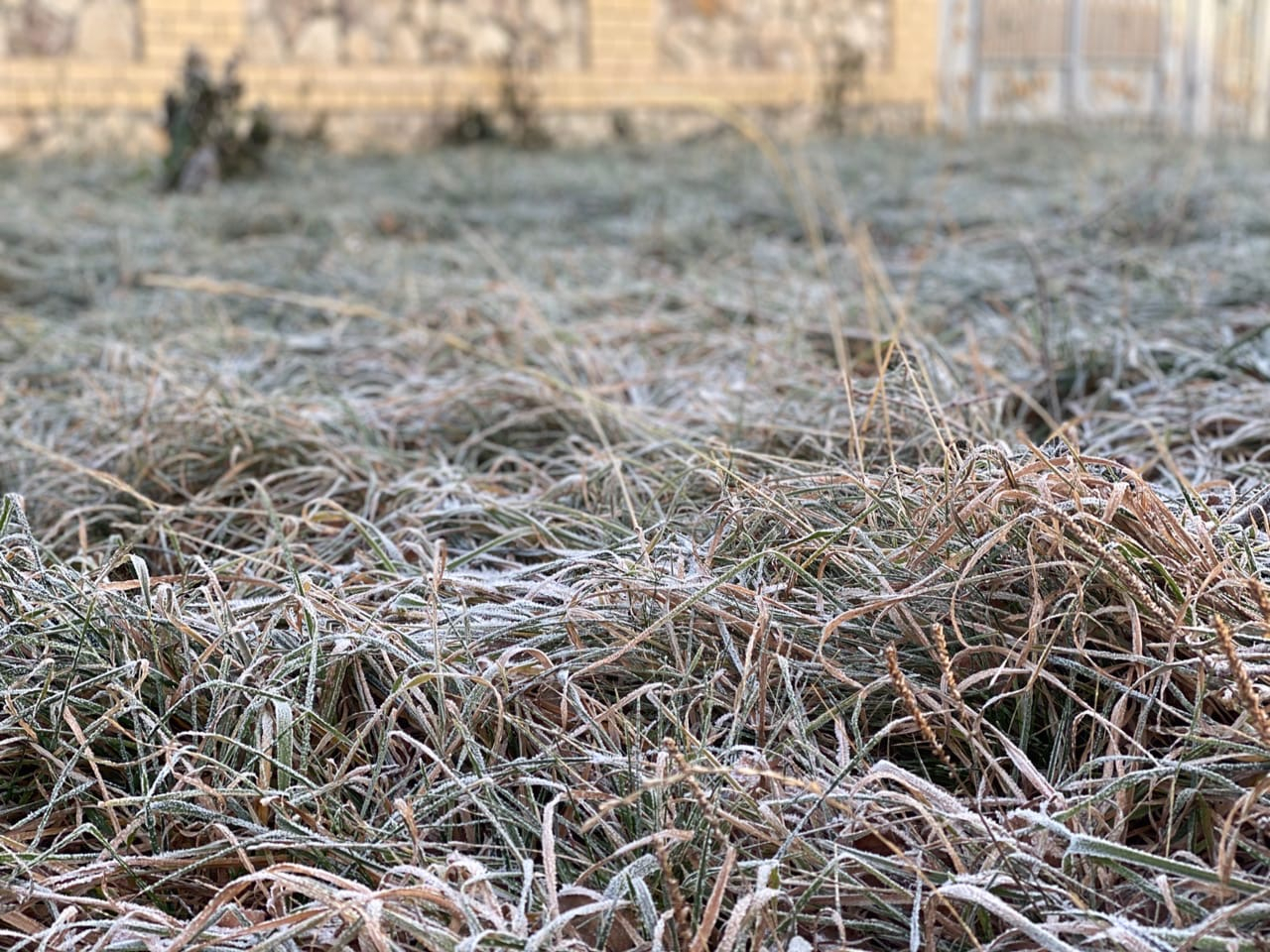 Холода набирают обороты: рязанцев ждет морозное воскресенье